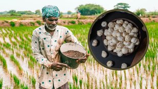 Makhana Business Opportunities