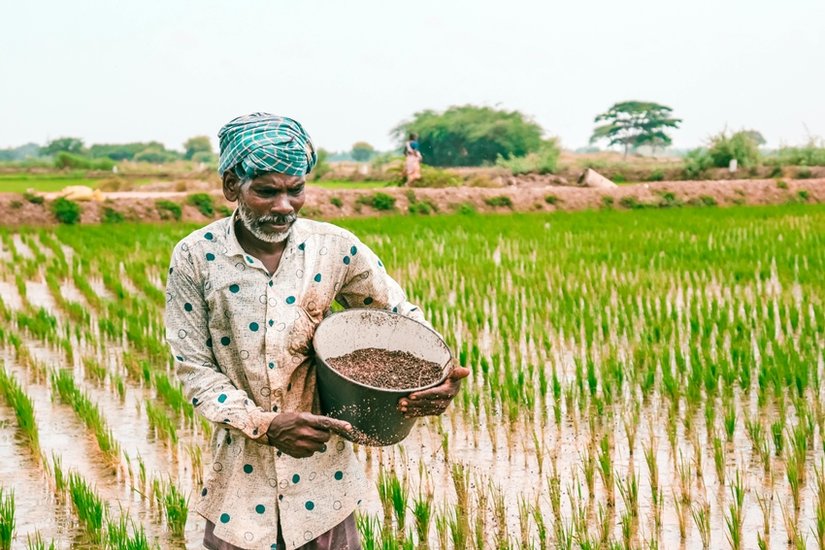 Makhana Farmers Benefits