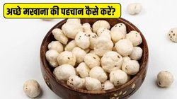 अच्छे मखाना की पहचान कैसे करें? Makhana खरीदते वक्त इन बातों का जरूर रखें ध्यान