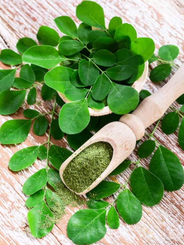 Moringa powder, Moringa powder benefits। Moringa benefits