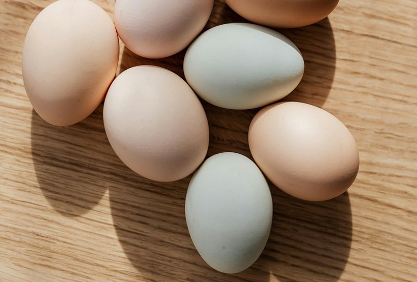 World Most Expensive Egg