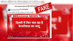 Fake opinion poll