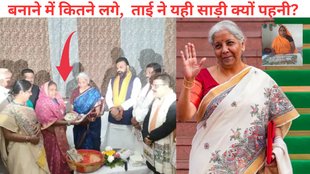 Nirmala Sitharaman Saree, Bihar Madhubani saree