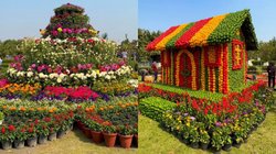 Noida Vasant Utsav 2025 का आज है लास्ट डे, यहां देखें नोएडा में कहां लगा है फ्लावर शो