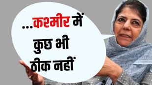 PDP chief Mehbooba Mufti, PDP chief Mehbooba Mufti Jammu and Kashmir, PDP chief Mehbooba Mufti normalcy in kashmir