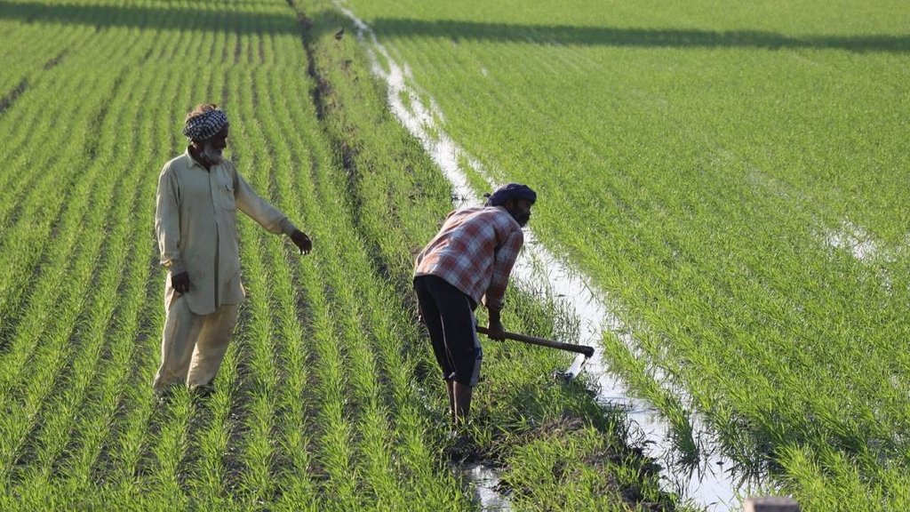PM KISAN, PM KISAN SAMMAN, PM KISAN News