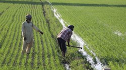 PM KISAN: खत्म होने वाला है किसानों का इंतजार, इस दिन और इस जगह से पीएम मोदी देंगे गुड न्यूज