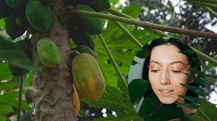 Papaya Leaves For Skin । Papaya Leaves benefts