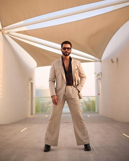 Shahid Kapoor hit movies