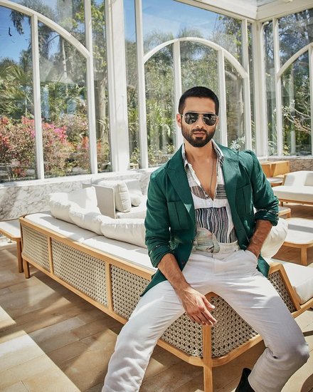 Shahid Kapoor struggle story