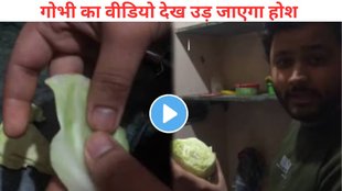 fake vegetables Cauliflower, Cauliflower Viral Video