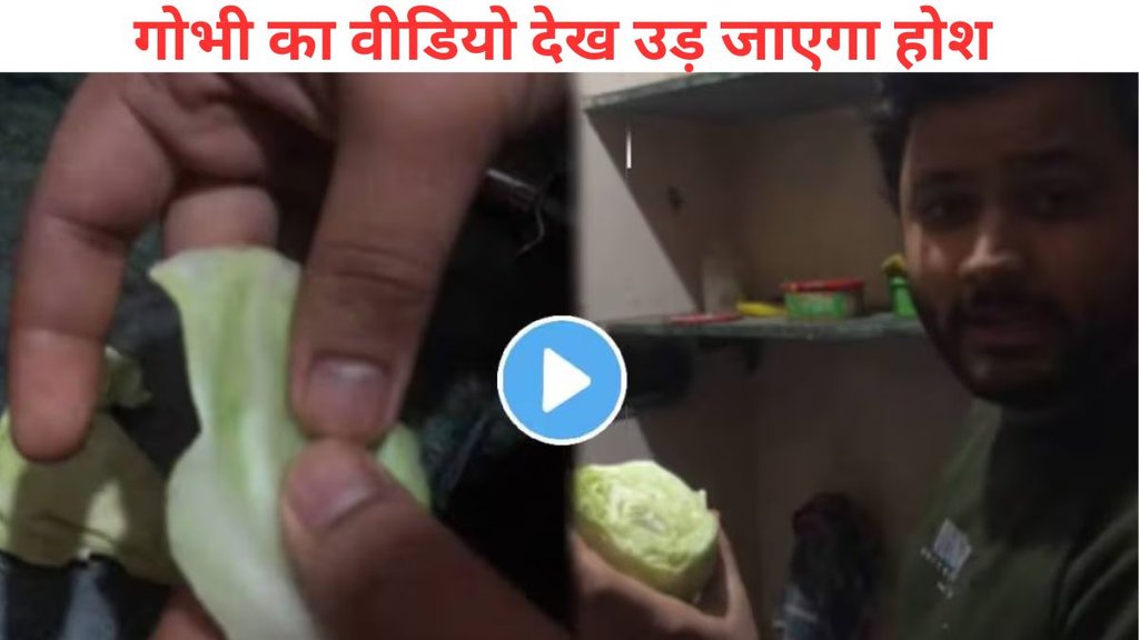 fake vegetables Cauliflower, Cauliflower Viral Video