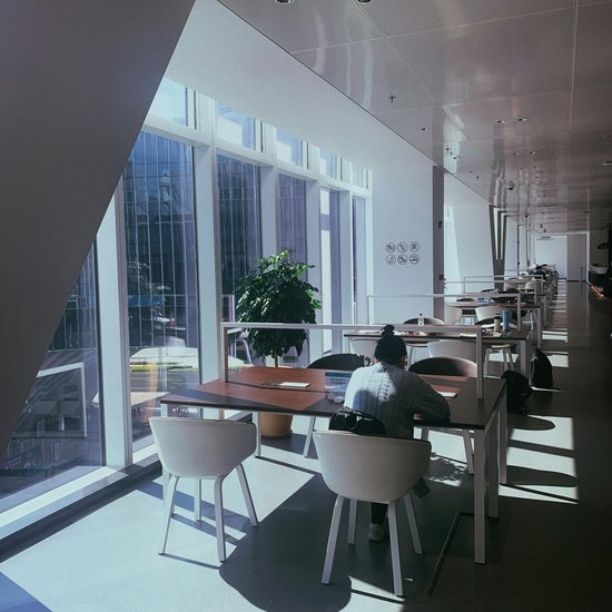 Tang Dynasty Examination System