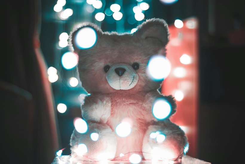 Teddy Day