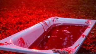 The Blood Countess Who Murdered Over 600 Young Girls for Immortality