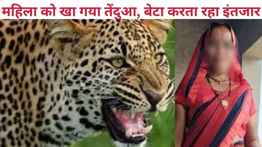 Bijnor leopard attack on child, Bijnor Leopard Attack , Bijnor Leopard Attack News, Bijnor news