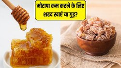 Honey vs jaggery: वेट लॉस डाइट पर शहद खाना चाहिए या गुड? यहां जान लें मोटापा कम करने के लिए क्या है ज्यादा बेहतर