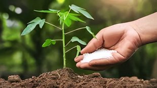 how to apply npk fertilizer