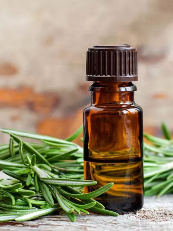 which oil is best for hair growth