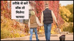 30 या 40 मिनट…कितने मिनट की वॉकिंग रोज़ करने से शरीर बनेगा फौलाद और दिमाग में आएगी ताजगी, एक्सपर्ट से जान लीजिए