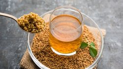 इस 1 कंपाउंड की वजह से मेथी है बालों के लिए गेम चेंजर, जानें Dry Hairs वाले कैसे करें इस्तेमाल?