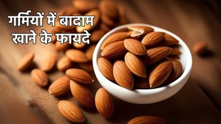 eating almonds, nutritional properties of almonds, culinary diversity of almonds, myths about almonds, eating almonds during summers, almonds and overall well-being, almonds and heart health, almonds and bone health, almonds and brain health, almonds and skin protection, soaking almonds before consumption, recommended daily intake of almonds, incorporating almonds into a balanced diet, health benefits of eating raw and soaked almonds, सुबह कितने बादाम खाने चाहिए, सुबह खाली पेट बादाम खाने से क्या लाभ होता है, बादाम खाने से शरीर में क्या फायदा होता है,