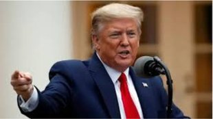 america | donald trump |