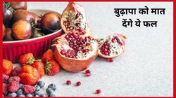 Anti Ageing Fruits: जवानी का राज़ छुपा है इन 4 फ्रूट में, रोज़ खाएंगे तो 40 साल की उम्र में भी 25 साल के दिखेंगे युवा, देखिए कैसे