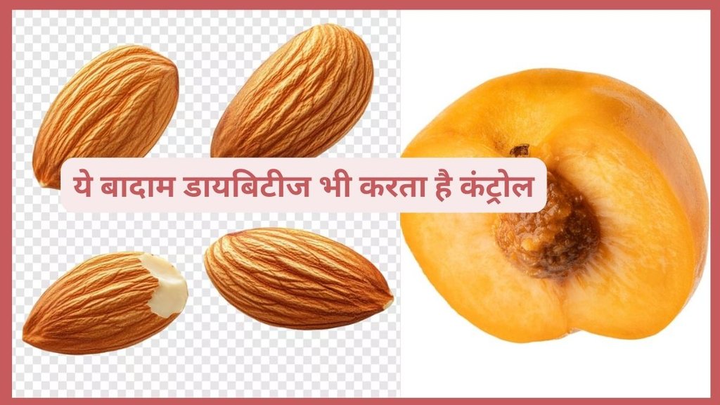 Apricot seeds, Apricot seeds benefits, Apricot seeds reduce cancer risk, Apricot seeds reduce risk of heart disease, apricot seeds reduce risk of joint pain, apricot seeds reduce cholesterol, apricot seeds use in medicine, cancer medicine, heart medicine, cholesterol medicine, what is apricot carnal,