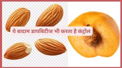 ये खास बादाम कैंसर समेत कई बीमारियों का करता है इलाज, इसे फेंके नहीं बल्कि खा लें, जानिए इसके 5 फायदे