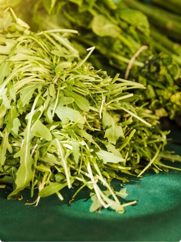 avoid Bathua Saag in case of 4 diseases,Is bathua saag good for kidney patients,What are the side effects of bathua,Who should not eat saag,What are the side effects of saag, health, health tips, bathua saag, bathua sag benefits, winter diet, winter food, bathua saag ke fayde,