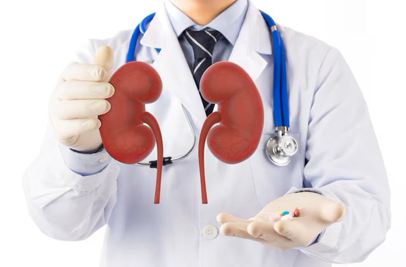 beneficial for kidneys
