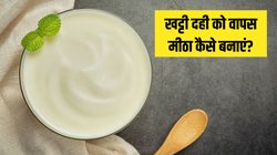 खट्टी दही को वापस मीठा कैसे बनाएं? इस ट्रिक से आएगा पहले जैसा फ्रेश टेस्ट