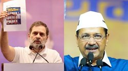 Delhi Elections: ‘WagonR में आए और सीधे शीश महल में चले गए’, राहुल गांधी ने अरविंद केजरीवाल का उड़ाया मजाक