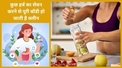 बीमारियों से बचाव करना है तो आज से ही ये मैजिकल जूस पीना शुरू कर दें, इम्यूनिटी हो जाएगी स्ट्रांग और दिखेंगे जवान