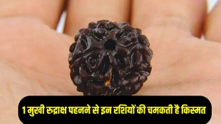 rudraksha benefits, rudraksh, 1 mukhi rudraksh benefits