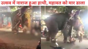 Elephant,Kerla Elephant Incident,Elephant Crushed Mahout
