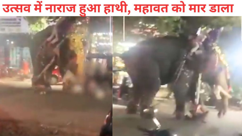 Elephant,Kerla Elephant Incident,Elephant Crushed Mahout