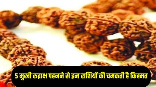 Panch Mukhi Rudraksha,Panch Mukhi Rudraksha benefit