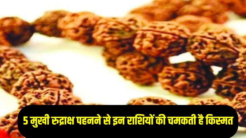 Panch Mukhi Rudraksha,Panch Mukhi Rudraksha benefit