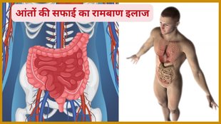 triphala and aloe vera gel for constipation, constipation home remedies,health benefits of aloe vera,drinking aloe vera juice, anti-inflammatory properties of aloe vera,Aloe vera juice benefits,aloe vera for digestion,एलोवेरा जूस के फायदे,