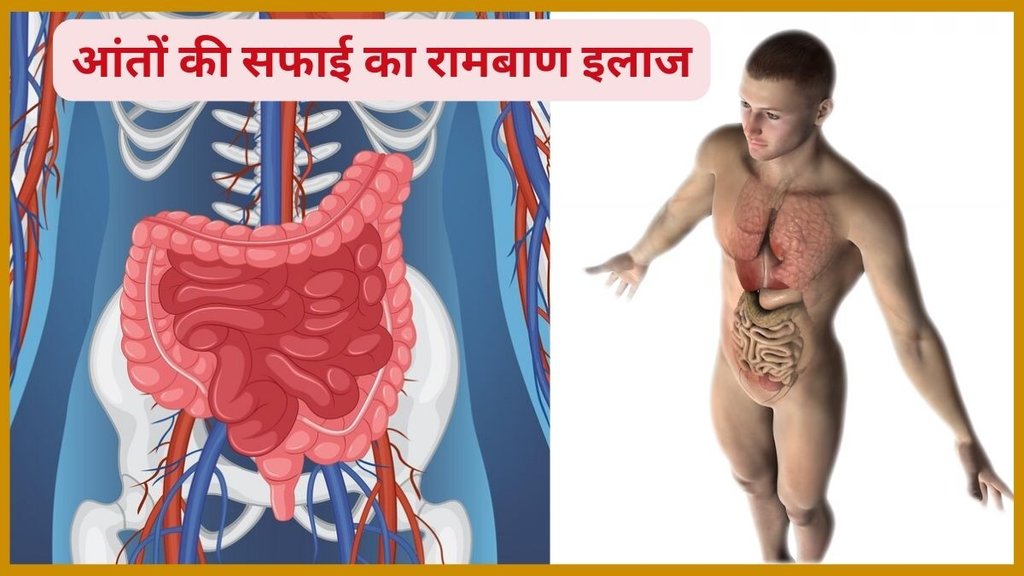 triphala and aloe vera gel for constipation, constipation home remedies,health benefits of aloe vera,drinking aloe vera juice, anti-inflammatory properties of aloe vera,Aloe vera juice benefits,aloe vera for digestion,एलोवेरा जूस के फायदे,