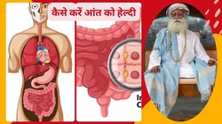 सिर्फ 1 चम्मच इस तेल से करें कब्ज का इलाज, पाचन तंत्र हो जाएगा दुरुस्त, आंतों में जमा सारी गंदगी हो जाएगी दूर