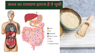 isabgol with dahi benefits,isabgol with dahi for constipation control, Weight loss with Isabgol,Psyllium husk with dahi,isabgol with dahi,Isabgol health benefits,