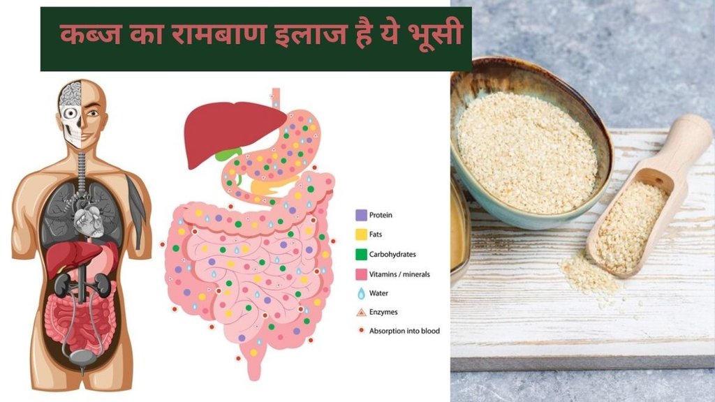 isabgol with dahi benefits,isabgol with dahi for constipation control, Weight loss with Isabgol,Psyllium husk with dahi,isabgol with dahi,Isabgol health benefits,