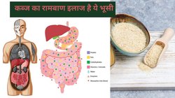 दिन में 1 बार दही के साथ इस चीज की भूसी खा लें, पुरानी से पुरानी कब्ज हो जाएगी नेस्तनाबूत, पाचन तंत्र पर होगा जादू की तरह असर