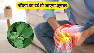 benefits of bathua, bathua, bathua for Arthritis, bathua for bone pain, bathua khane ke fayde