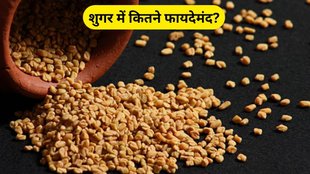 fenugreek seed control blood, fenugreek seeds diabetes, fenugreek seeds blood sugar, fenugreek seeds diabetes benefits