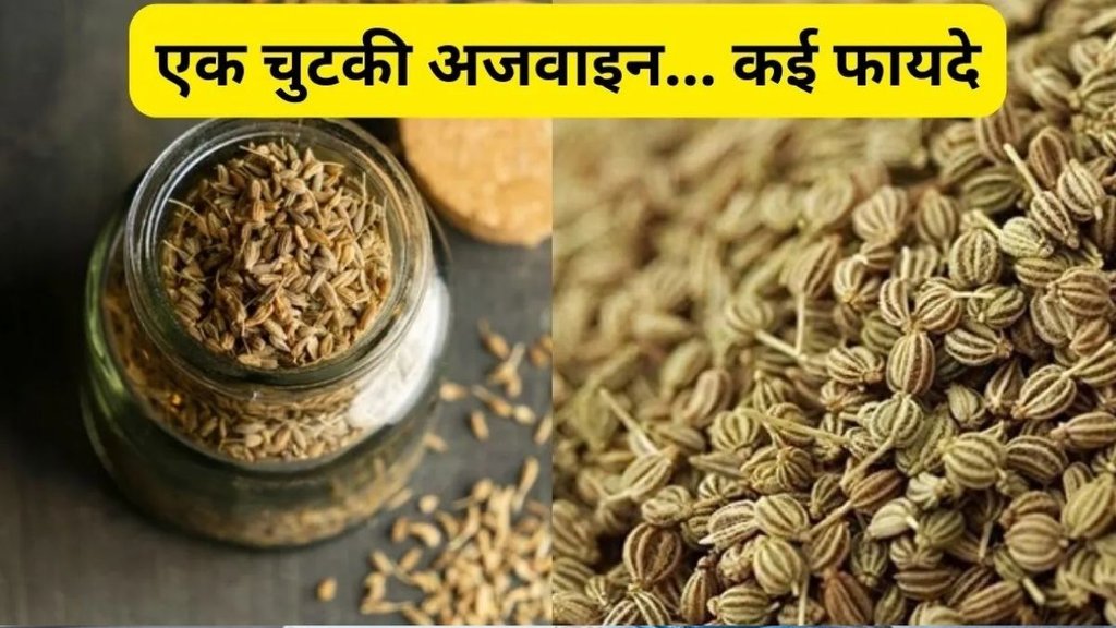 benefits of adding ajwain for control cholesterol, ajwain benefits of health, ajwain water benefits, Ajwain Ka Pani