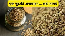 भोजन में अजवाइन डालकर खाने से सेहत को मिलेंगे कमाल के 5 फायदे, पाचन से लेकर कोलेस्ट्रॉल तक रहेगा कंट्रोल
